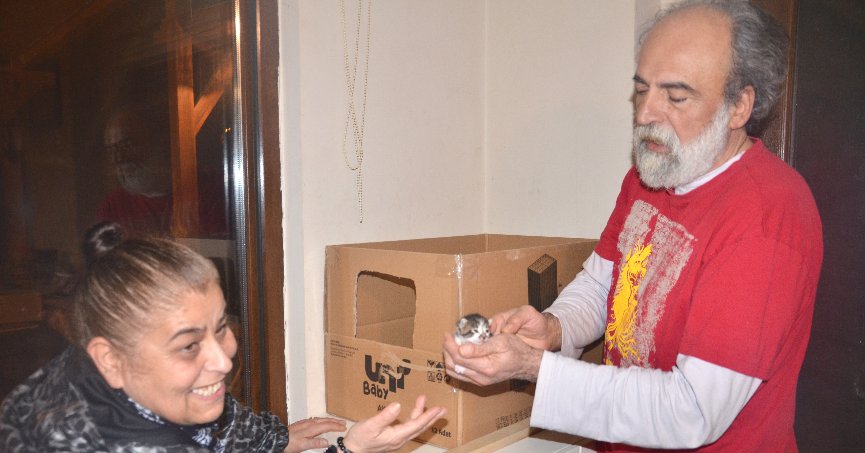 Çöpte bulunan kedi yavrularına yeni yuva