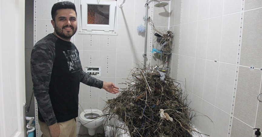 Tatildeyken evini kargalar sahiplendi