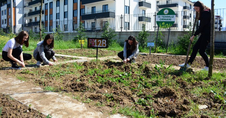 Öğrenciler kendi  sebzelerini üretiyor