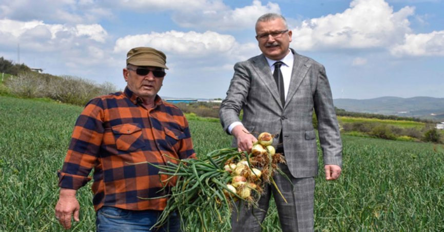 Soğan fiyatları bayramdan sonra düşecek