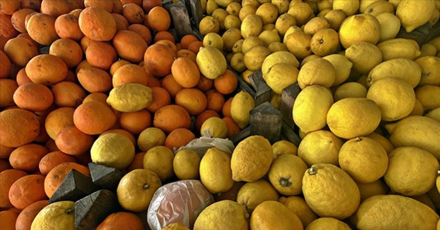 Narenciye ihracatında limon  ve mandalina ilk sıralarda