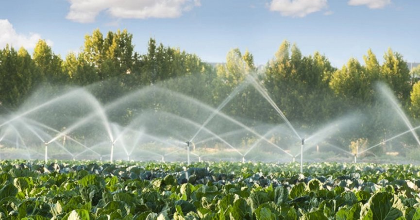 Çiftçilerin su kullanım bedelleri yüzde 50 desteklenecek