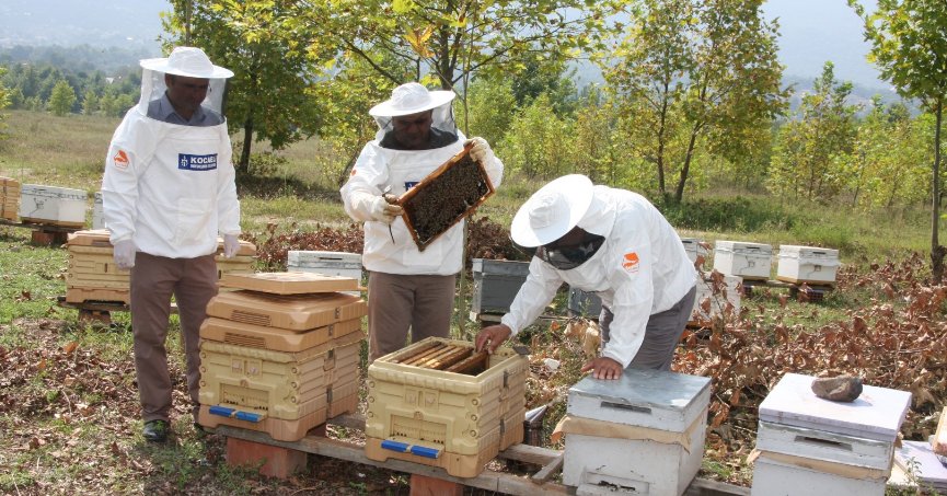 Büyükşehir’den arıcılara  55 ton arı yemi desteği