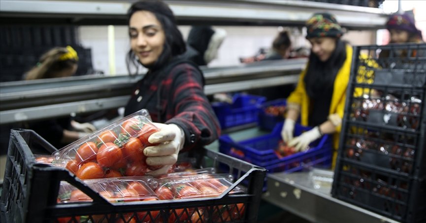 Hal Kayıt Sistemi’nden fire beyanı dönemi