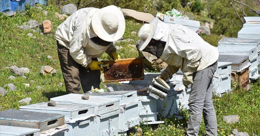 Arıcılara 20 yılda 1 milyar TL’nin üzerinde destek
