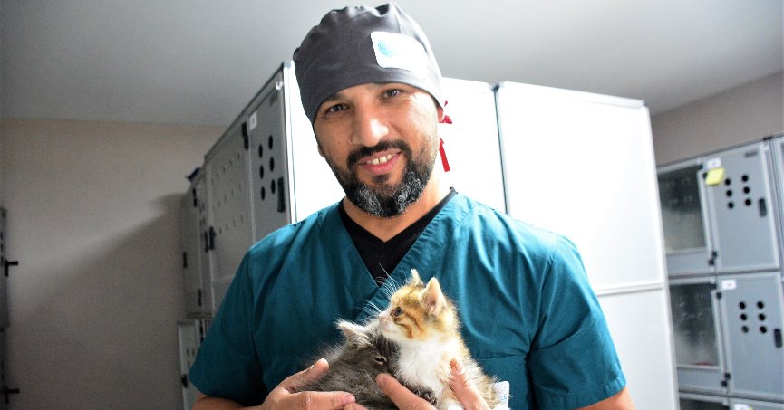 Öksüz yavruların süt annesi