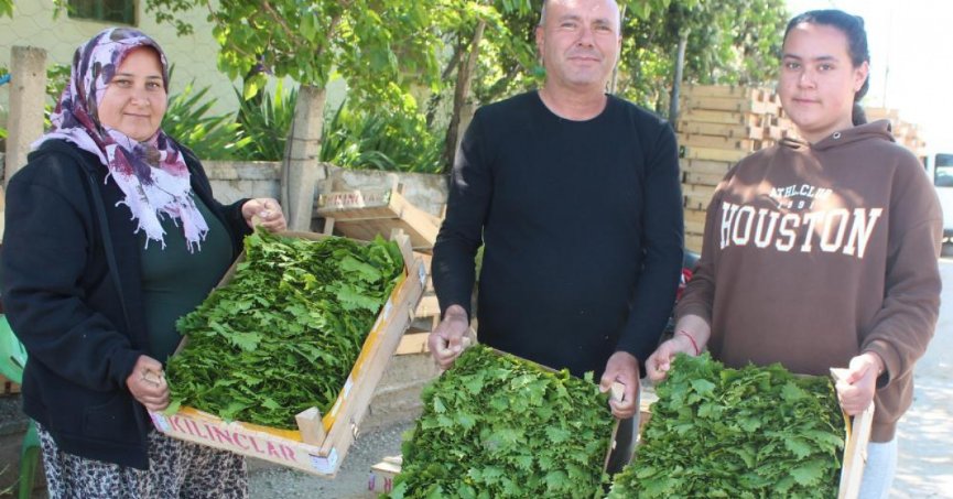 Üzümden önce yaprağı gelir kapısı oldu