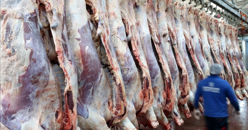 Kırmızı et üretimi geçen yıl 2 milyon tonu geçti