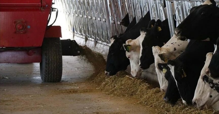 Düve alım desteği yapılacak