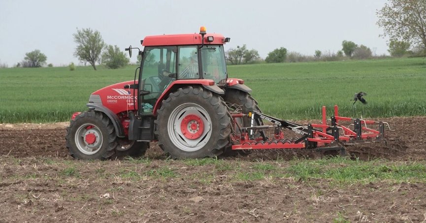 Ayçiçeği tohumları toprakla  buluşmaya devam ediyor