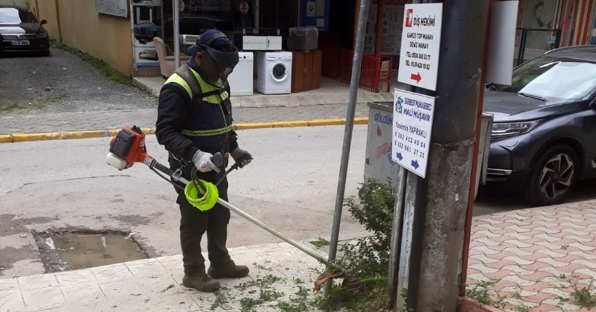 Yabani otlar, ekiplerce temizlendi