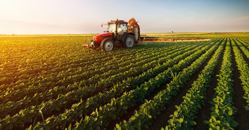 Tarım ÜFE Nisan’da aylık bazda yüzde 2,32 azaldı