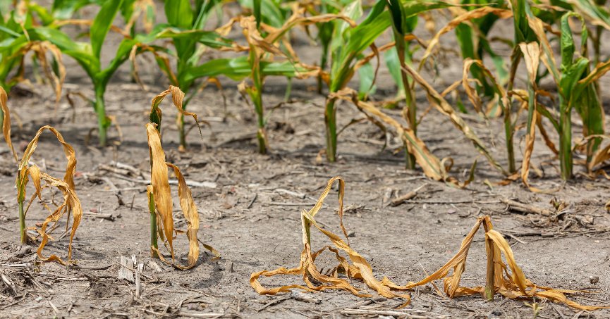 ‘Kuraklık riski büyüyor’ uyarısı