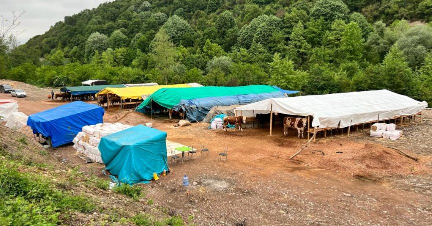 Kurbanlık hayvan satış yeri için hazırlıklar tamam     