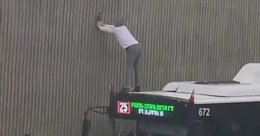 Duvarda mahsur kalan kediyi otobüs şoförü kurtardı