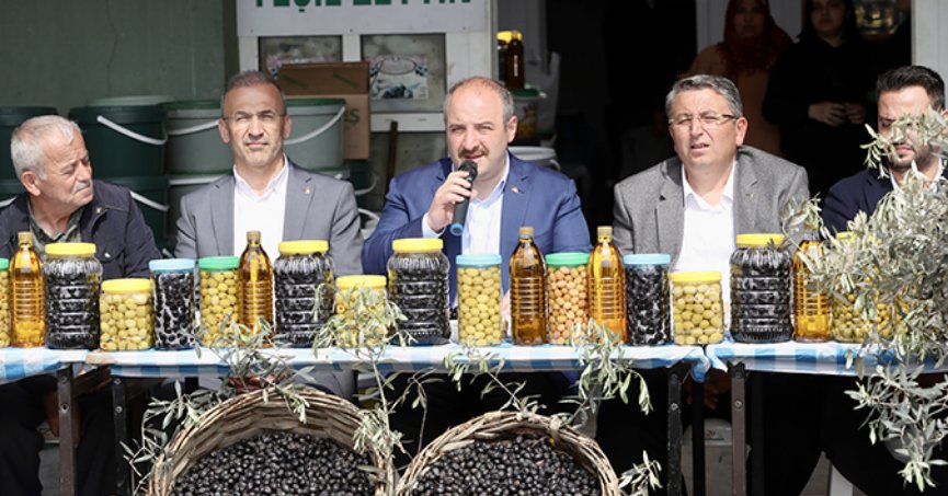 Gemlik zeytinine Avrupa Birliği tescili geliyor