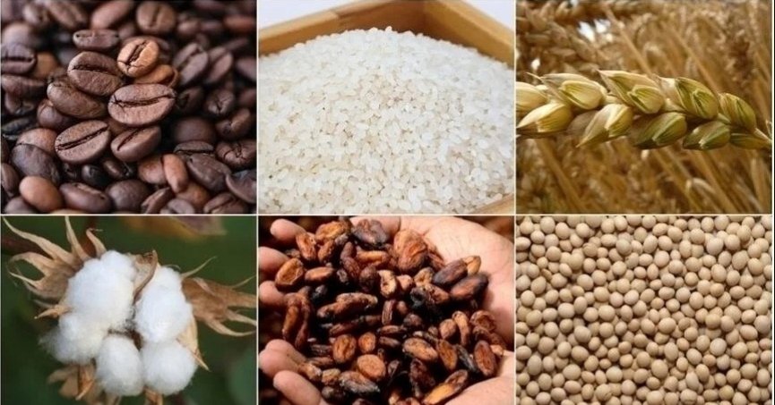 Emtia piyasasındaki düşüş eğilimi geçen hafta da sürdü