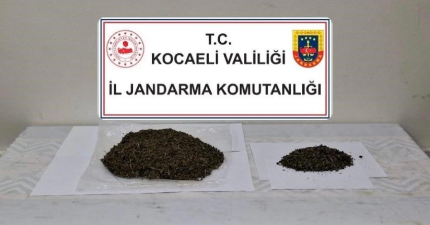 Jandarmadan uyuşturucu operasyonu