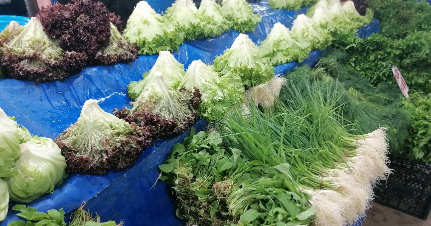 Kiraz, 40 liralık fiyatı ile tezgahlarda