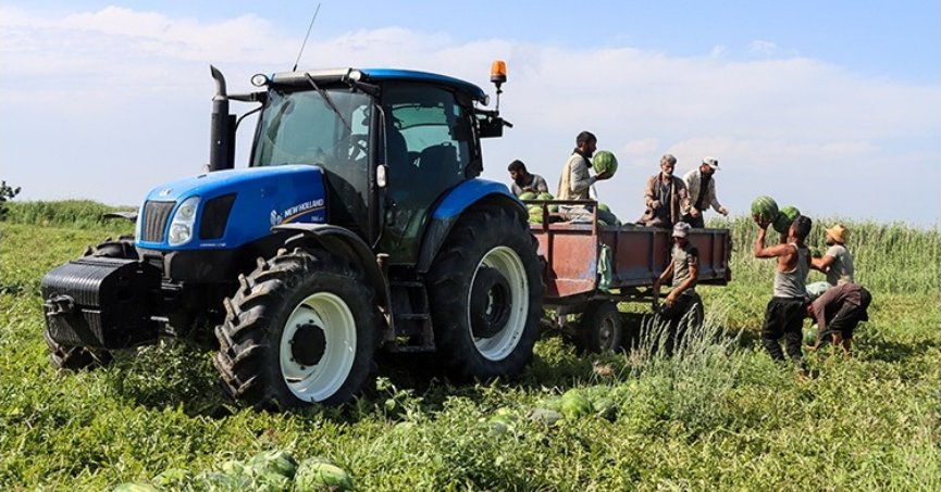 Adana’da havaların ısınmasıyla artan karpuz hasadı sürüyor