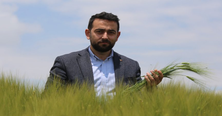 Konya Ovası’nda  rekolte beklentisi arttı