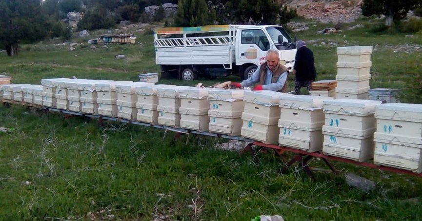 Hava şartları arıları olumsuz etkiledi