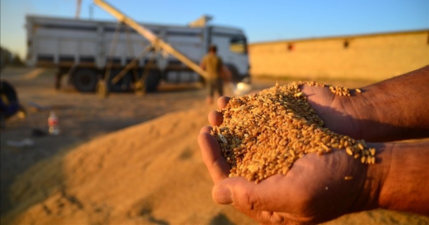 Buğday alım fiyatları üreticilerin beklentisini karşıladı
