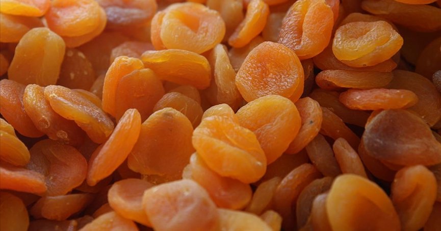 Malatya kayısısında 450 milyon dolarlık ihracat hedefi