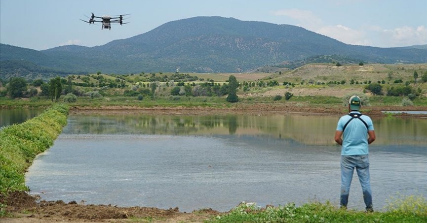 Çeltik ekiminde maliyet dronla düşürülüyor