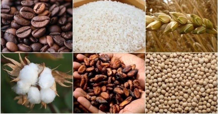 Emtia piyasasındaki pozitif seyir devam etti