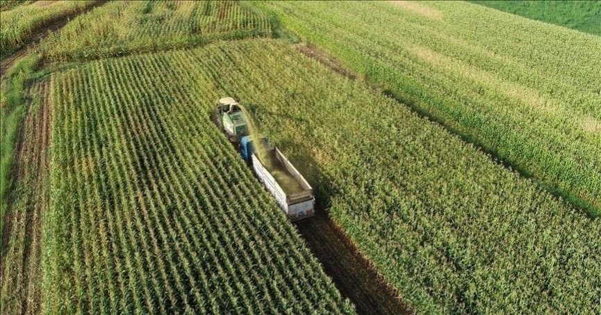 Tarım ÜFE Mayıs’ta aylık bazda yüzde 2,14 arttı