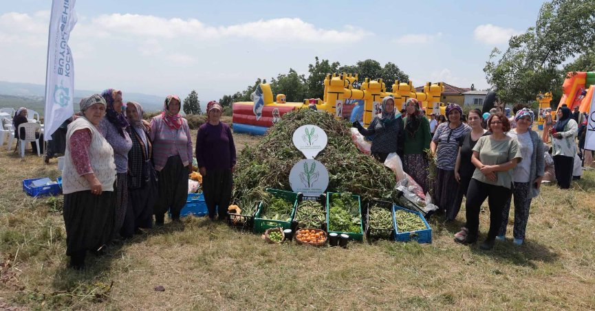 Dağköy’de araka hasat şenliği düzenlendi