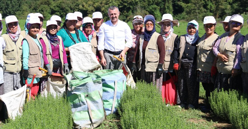 Büyükşehir’den kooperatiflere yüzde 75 hibeli tarım desteği