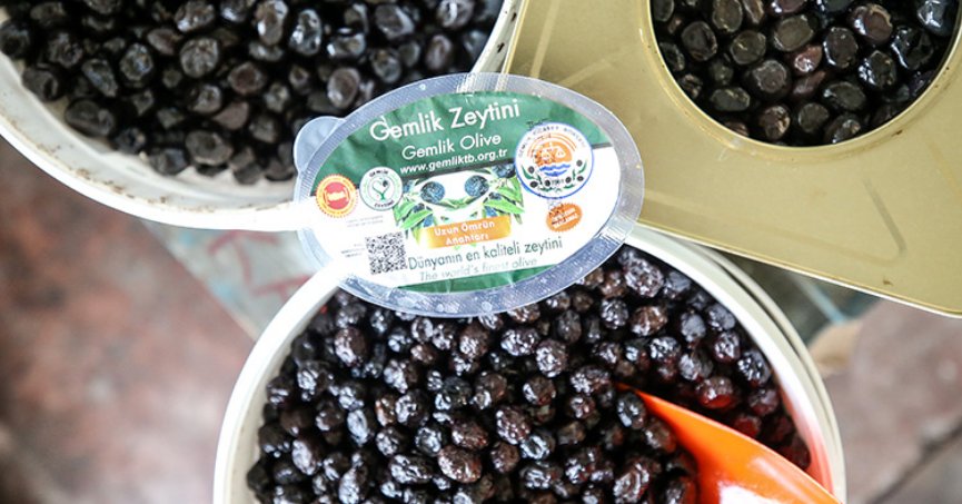 AB, tescilli Gemlik zeytininin marka değerini artıracak