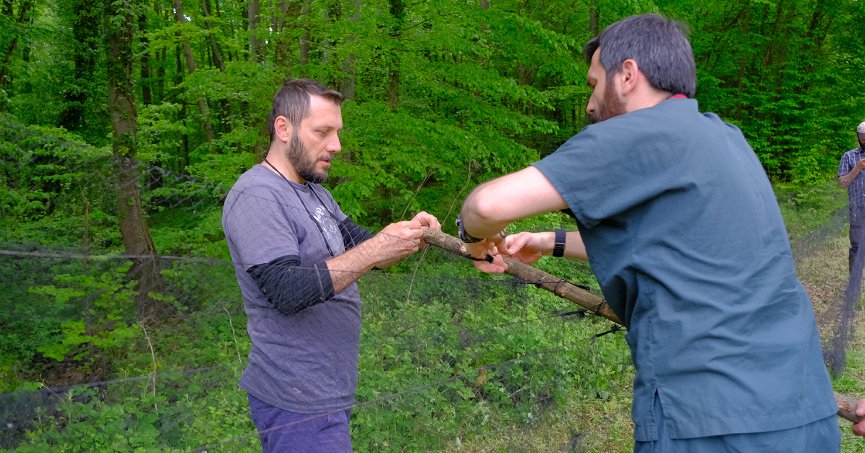 Ormanya’da kurulan istasyonda kuşlar halkalanıyor