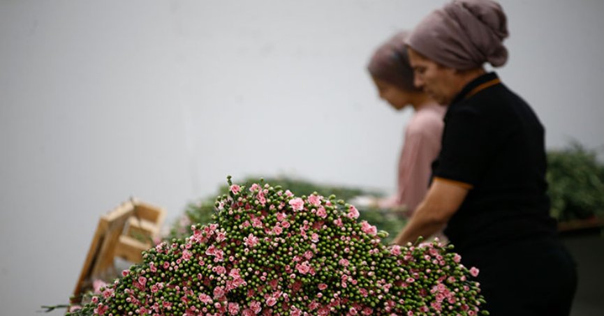 Çiçek sektörü 170 milyon  dolarlık ihracat hedefliyor
