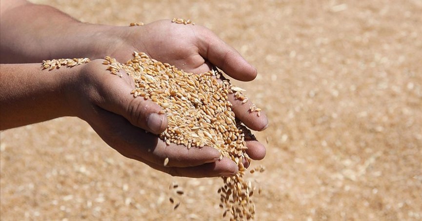 TMO’nun hububat satış fiyatları belirlendi