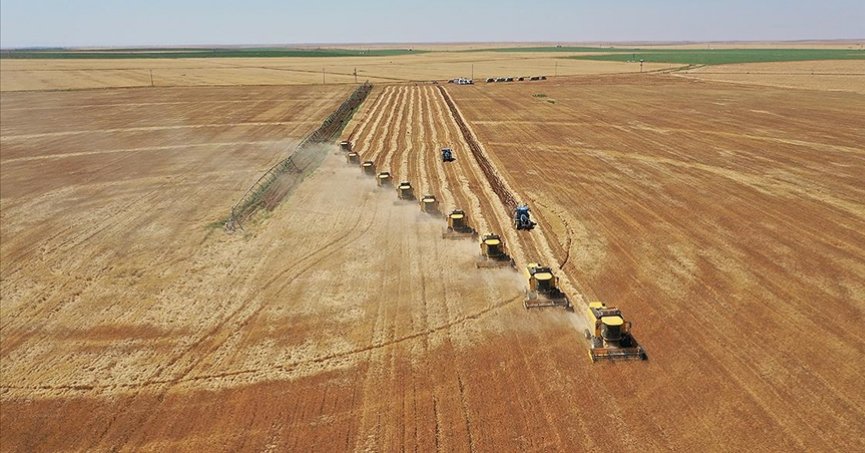 Türkiye, tarımda bölgesinde stratejik ortak olarak görülüyor