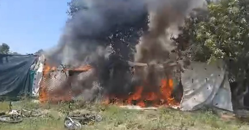 Zeytinlik yangınında kulübe ve ağaçlar küle döndü