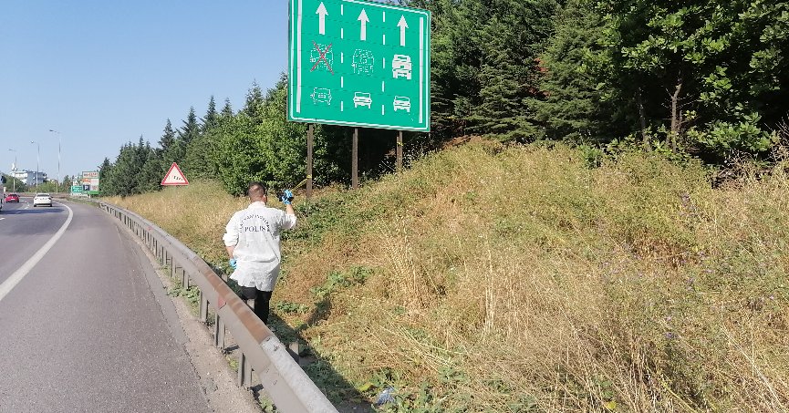 Ağaçlık alanda ceset bulundu