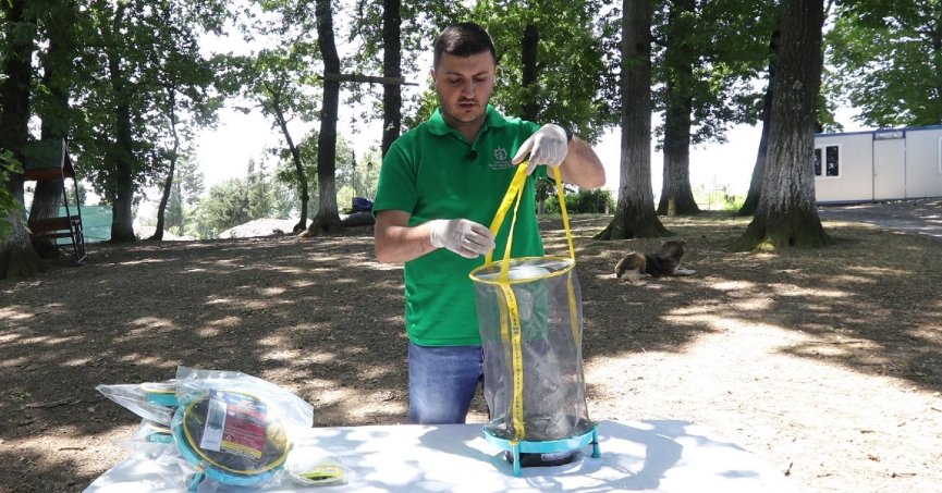 Vektör mücadelesinde  karasinek tuzağı