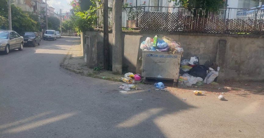 Çöp konteynırlarına  yıkama gerekiyor