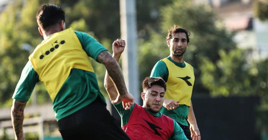   Afyon kampı başlıyor