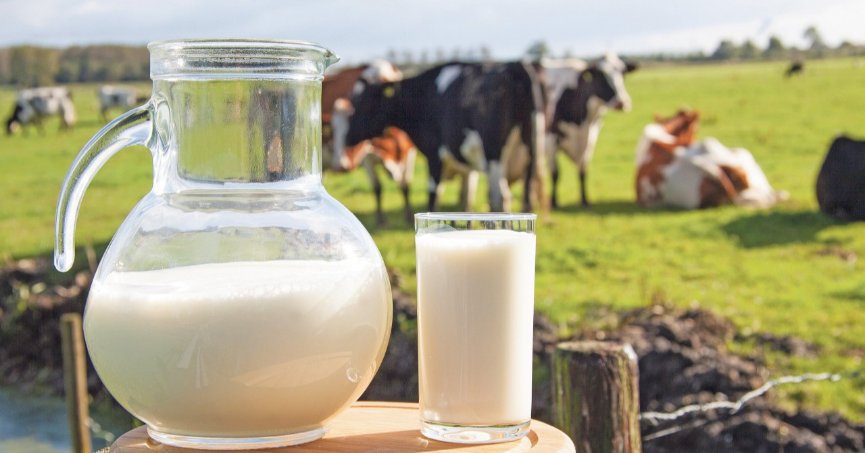 Ticari süt işletmelerince 944 bin 349 ton inek sütü toplandı