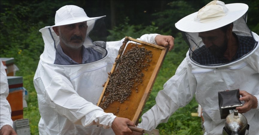 Balın kilogram maliyeti 110,76 lira olarak belirlendi