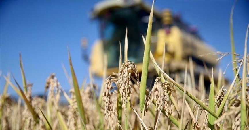 Deprem bölgesindeki ‘Uzman Eller’e 75 milyon liralık ek bütçe