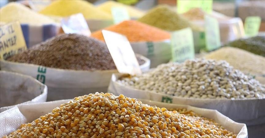 İlk yarıdaki hububat ve bakliyat  ihracatı 5 milyar doları aştı