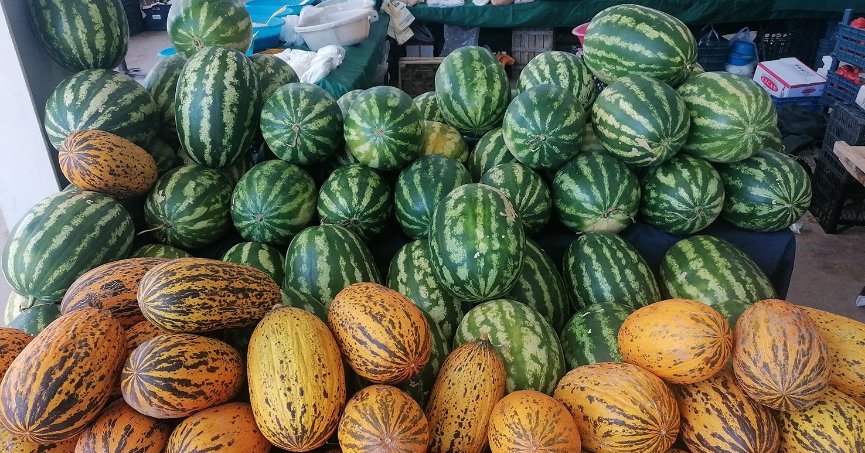 Pazarda karpuz yoğun ilgi görüyor