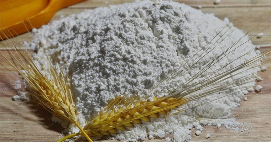 Tahıl koridoru dünya için önemli