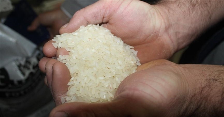 Çanakkale’nin Biga pirinci coğrafi işaretle tescillendi